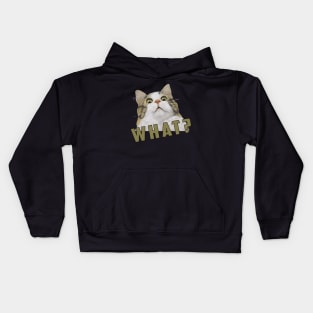 what Cat Meme: Funny newest sarcastic cat meme for cats lover Kids Hoodie